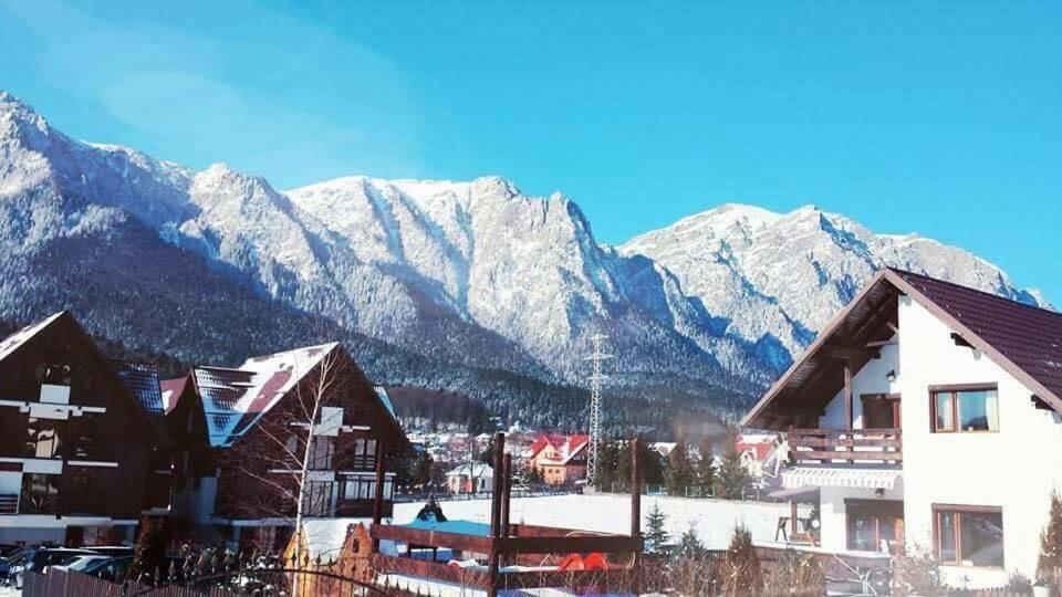 Villa Anne - Piatra Arsa Buşteni Exterior foto