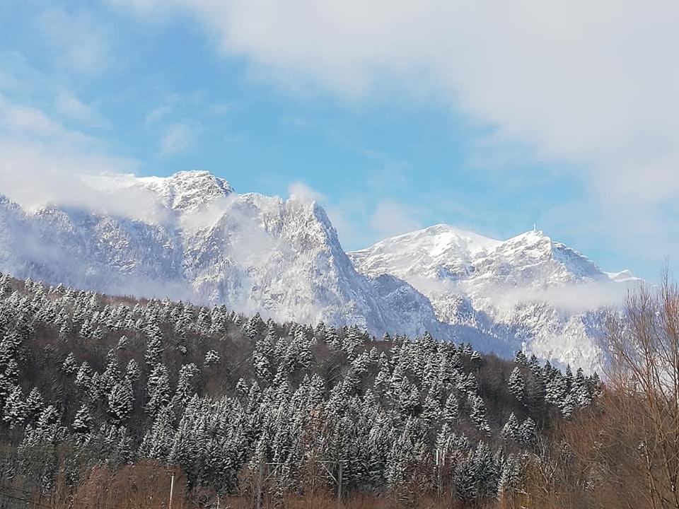 Villa Anne - Piatra Arsa Buşteni Exterior foto