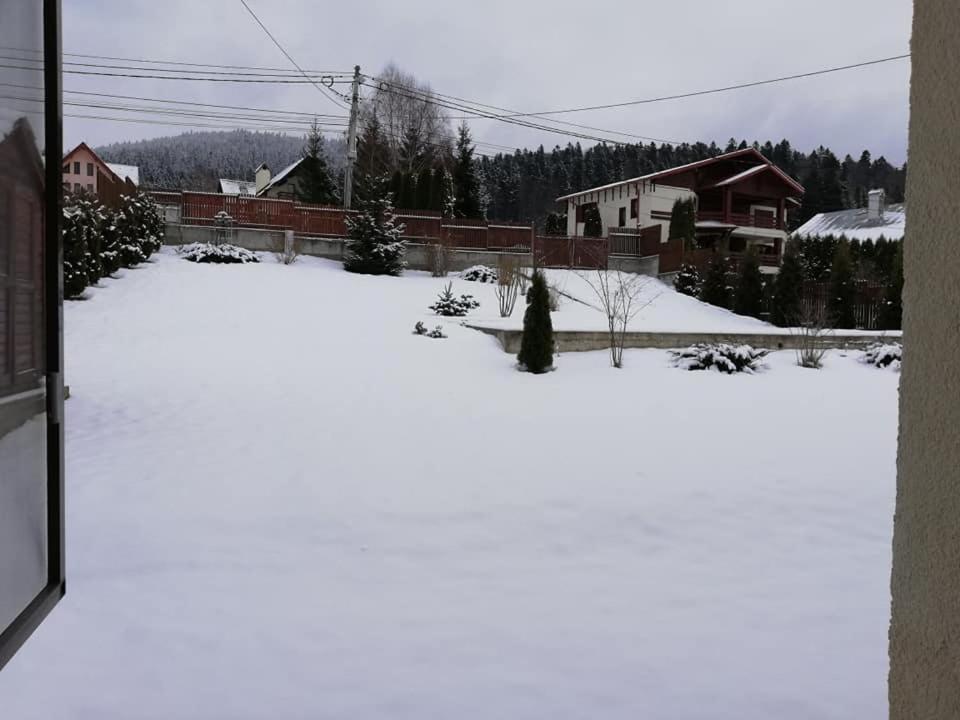 Villa Anne - Piatra Arsa Buşteni Exterior foto