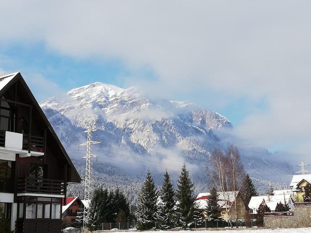 Villa Anne - Piatra Arsa Buşteni Exterior foto